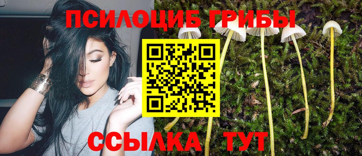 Псилоцибиновые грибы Magic Shrooms  Вход с VPN  Ессентуки  Галлюциногенные грибы GOLDEN TEACHER 