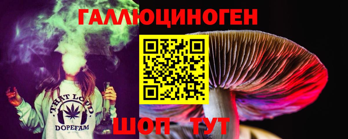 Псилоцибиновые грибы GOLDEN TEACHER Ессентуки